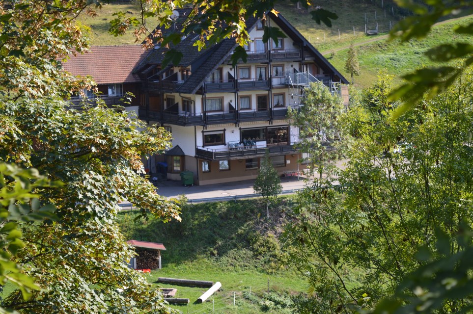 Traumhafte Alleinlage im Gruenen, Haus Palmspring | Feiern und Übernachten im Schwarzwald