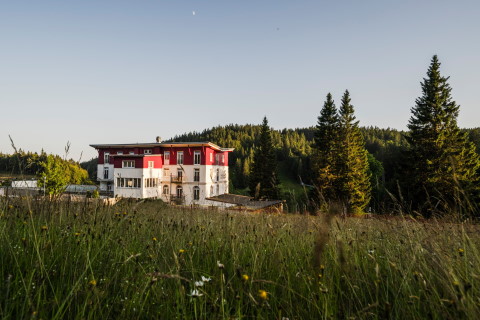 Waldhotel am Notschreipass, Hochzeitslocation Todtnau, Kontaktbild