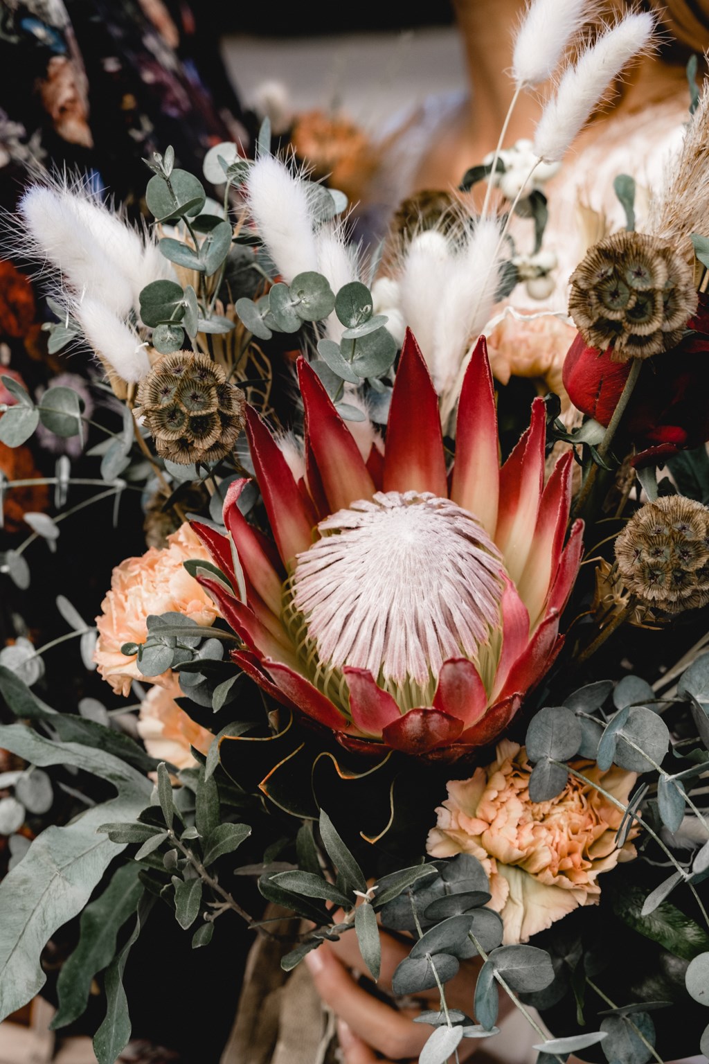Protea