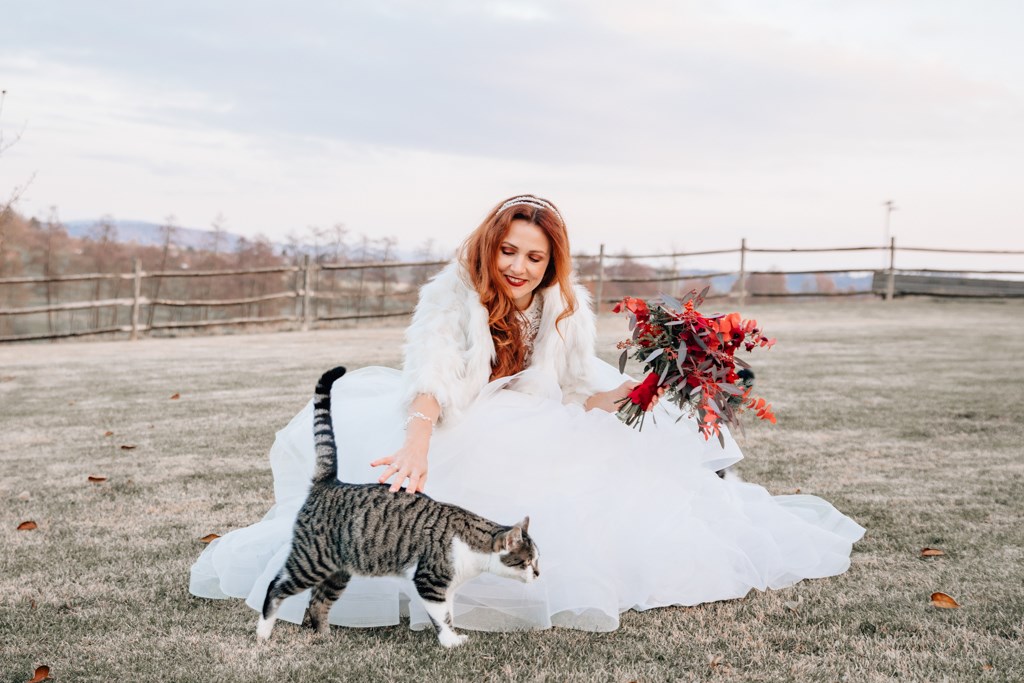 Braut mit Brautstrauss und Katze